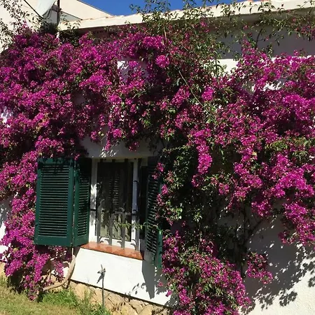 Dom wakacyjny La Casa Del Bosc, Playa Y Golf -