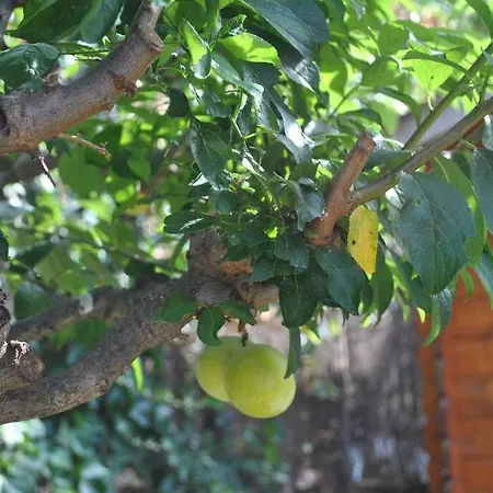 בית נופש La Casa Del Bosc, Playa Y Golf -